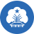 Tuyên Quang